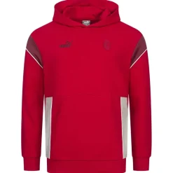 PUMA Tienda Para Aficionados^A.C. Milan ftblARCHIVO Hombre Sudadera con capucha 774033-06
