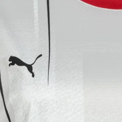 PUMA Equipaciones^Alemania DHB Balón de balonmano Mujer Camiseta de entrenamiento 759907-01