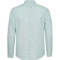 Hombre BEN SHERMAN Camisas Y Polos^Oxford Cotton Hombre Camisa de manga larga 1012797-VERDE OSCURO
