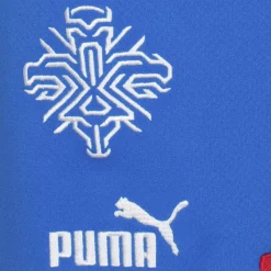 PUMA Tienda Para Aficionados^Islandia Hombre Pantalones cortos de primera equipación 766069-01