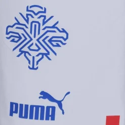 PUMA Tienda Para Aficionados^Islandia Hombre Player Issue Authentic Jugadores Pantalones cortos 705318-02