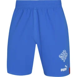 PUMA Tienda Para Aficionados^Islandia Hombre Player Issue Authentic Jugadores Pantalones cortos 705318-01