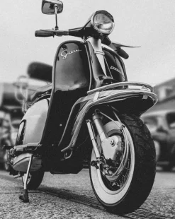 Hombre Lambretta Camisetas^Lichen Hombre Camiseta SS9819-LCNGRN/BLUGRP