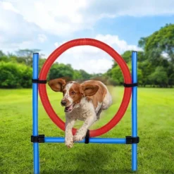 maxxpro Suministros Para Mascotas^Agilidad Spring Ring - Conjunto Agilidad para perros 47433