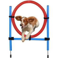 maxxpro Suministros Para Mascotas^Agilidad Spring Ring - Conjunto Agilidad para perros 47433