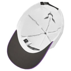 Mercedes AMG Deportes De Motor|Colabos^Petronas Fórmula 1 x Conductor Lewis Hamilton Hombre Gorra Trucker 701227945-001