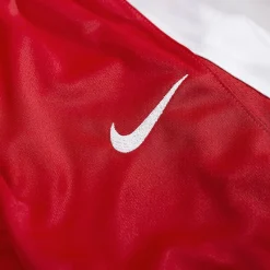 Nike Basketball^Team Niño Pantalones cortos de baloncesto NT0202-657