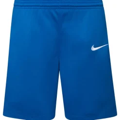 Nike Basketball^Team Niño Pantalones cortos de baloncesto NT0202-463