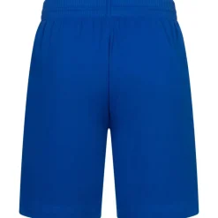 PUMA Tienda Para Aficionados^Olympique de Marsella Hombre Pro Pantalones cortos 767274-11