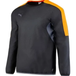 Hombre PUMA Ropa De Fitness|Chaquetas^FTBLnxt Jacket Hombre Para todo clima Camiseta 655982-01