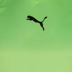 PUMA Ropa Para Porteros|Equipaciones^Hombre Camiseta de portero de manga larga 740208-02