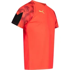 PUMA Equipaciones^individualFINAL World Cup Hombre Camiseta 658211-48