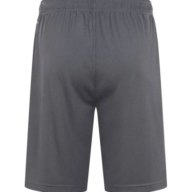 PUMA Ropa De Fitness|Equipaciones^LIGA Training Core Hombre Pantalones cortos 655664-11