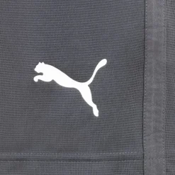 PUMA Ropa De Fitness|Equipaciones^LIGA Training Core Hombre Pantalones cortos 655664-11