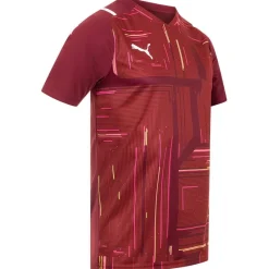 PUMA Equipaciones^teamULTIMATE Jersey Hombre Camiseta 704389-09