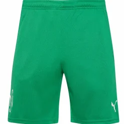 PUMA Colabos|Equipaciones^x NEYMAR JR. Copa Hombre Pantalones cortos 605570-07