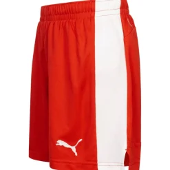 PUMA Tienda Para Aficionados^Suiza Niño Pantalones cortos 748749-01