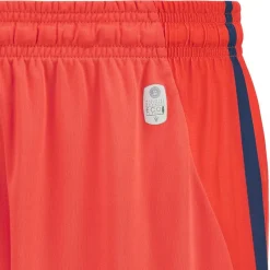 macron Tienda Para Aficionados^Udinese Calcio Hombre Pantalones cortos de segunda equipación 58577837